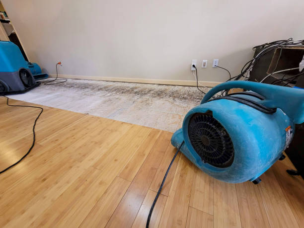 Professional Structural Drying technician working in Ocean Grove, NJ